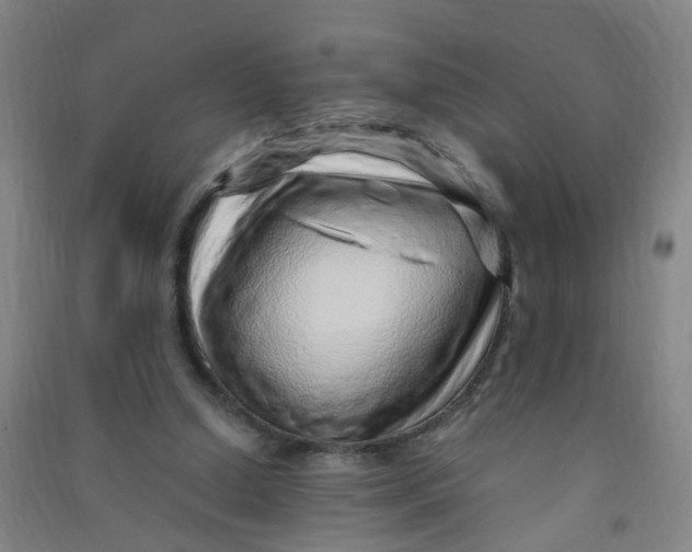 X0000090900250200708201724