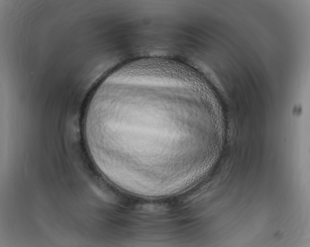 X0000090900251200708201724