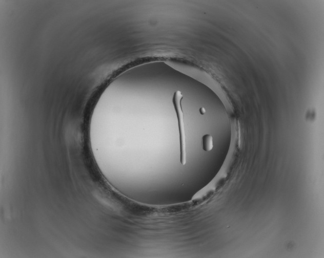 X0000090900252200708201724