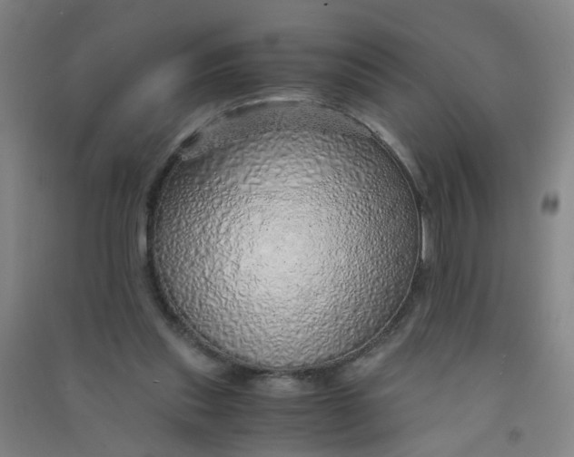 X0000090900253200708201724