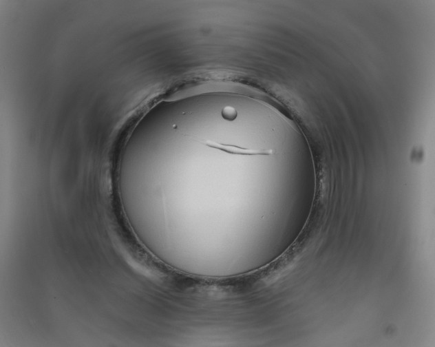 X0000090900254200708201724