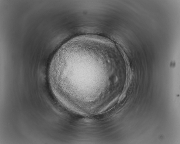 X0000090900255200708201724