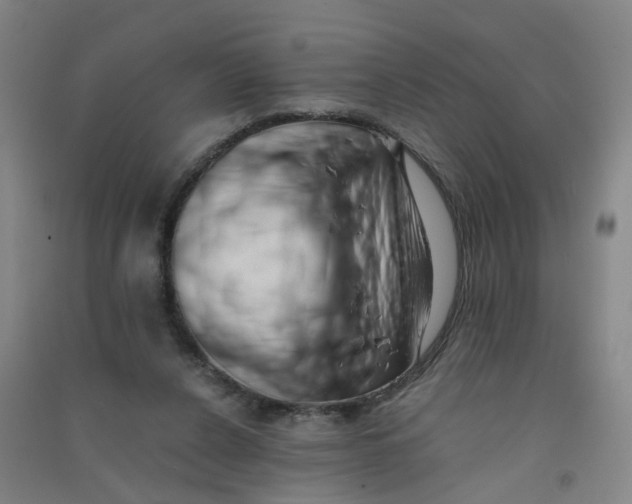 X0000090900256200708201724