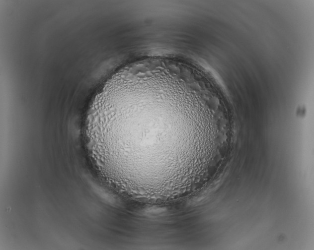 X0000090900257200708201724