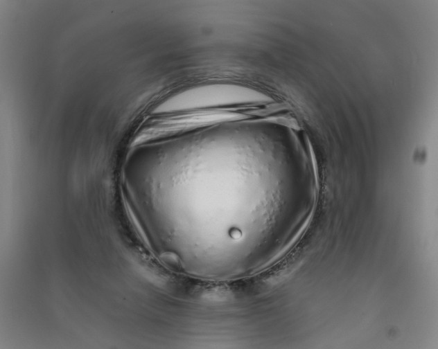 X0000090900258200708201724