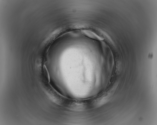 X0000090900260200708201725