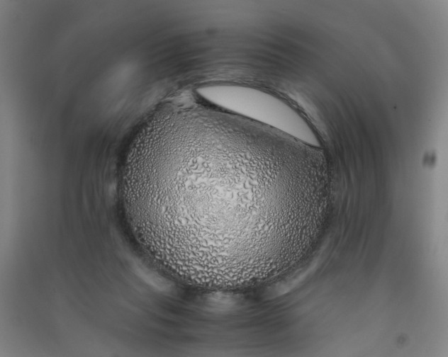 X0000090900261200708201725