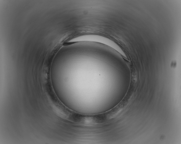 X0000090900264200708201725