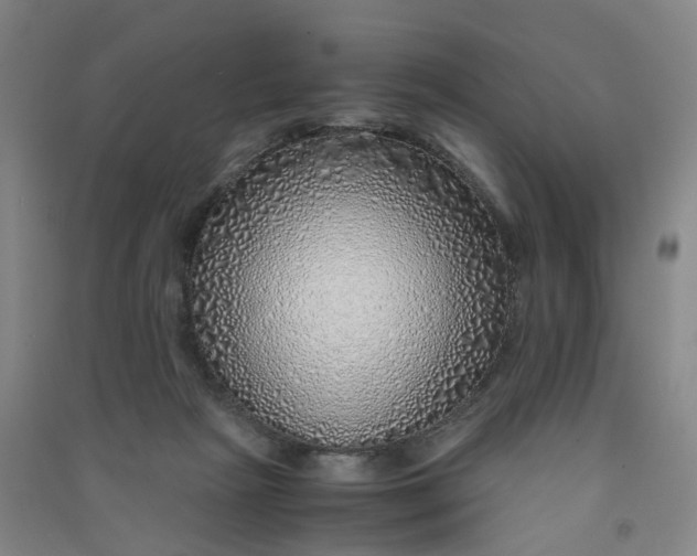 X0000090900265200708201725