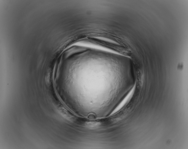 X0000090900266200708201725