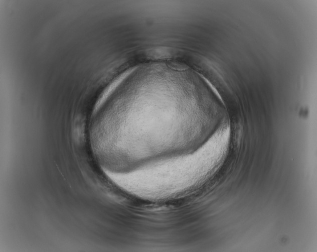 X0000090900267200708201725