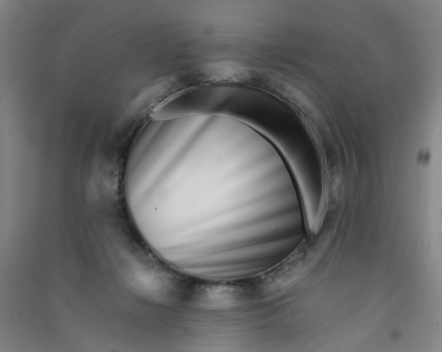 X0000090900268200708201725