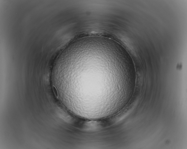 X0000090900269200708201725