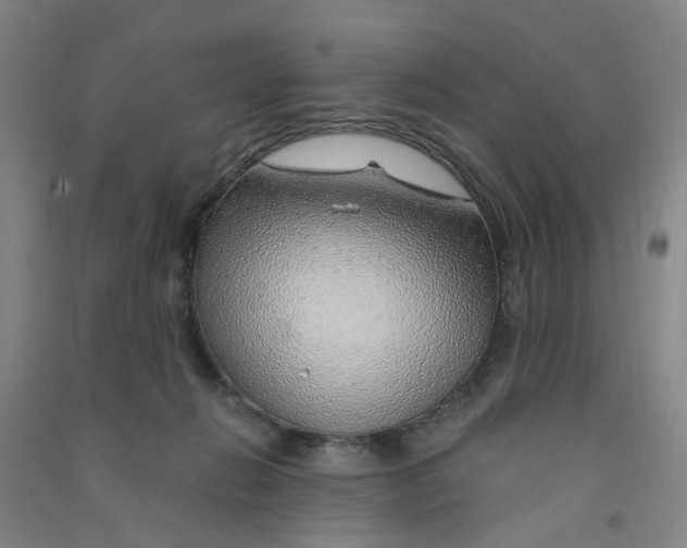 X0000090900270200708201725