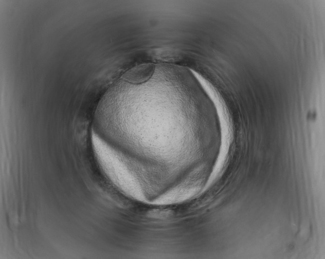 X0000090900271200708201725