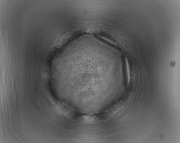 X0000090900272200708201725