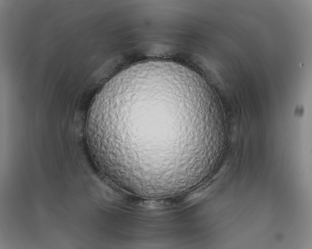 X0000090900273200708201725