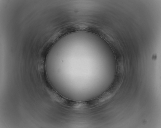 X0000090900274200708201725