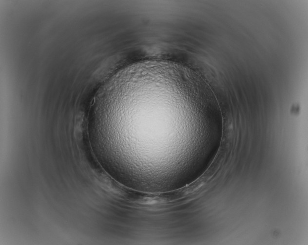 X0000090900275200708201725