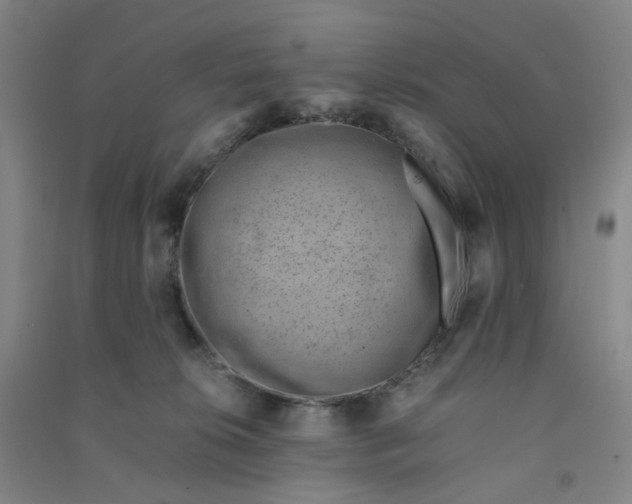 X0000090900276200708201725