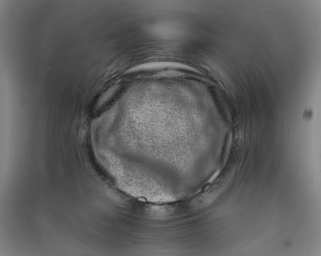 X0000090900277200708201725