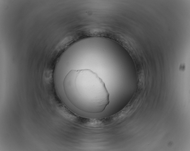 X0000090900278200708201725