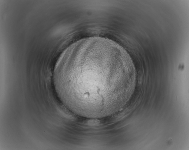 X0000090900279200708201725