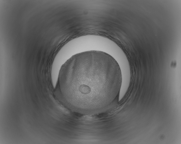 X0000090900280200708201725