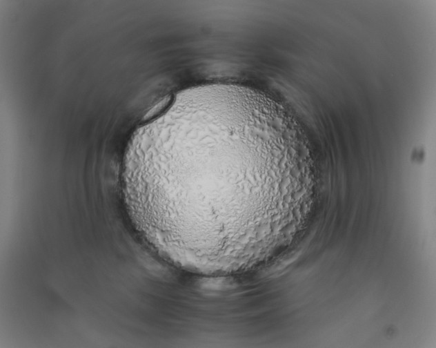 X0000090900281200708201725