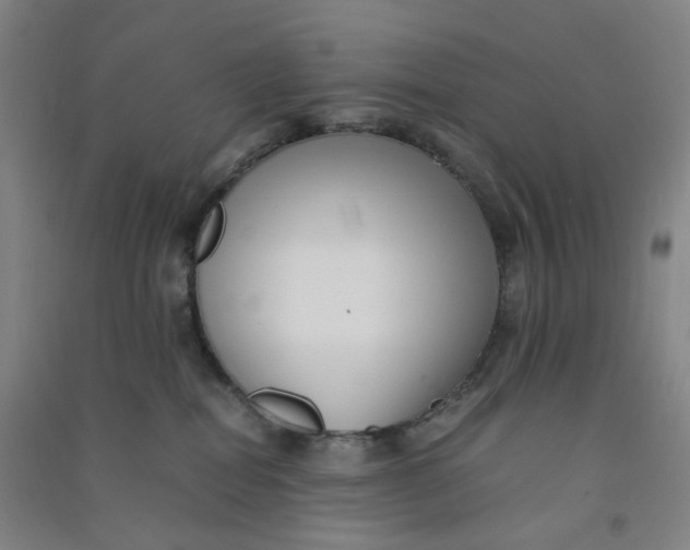 X0000090900282200708201725