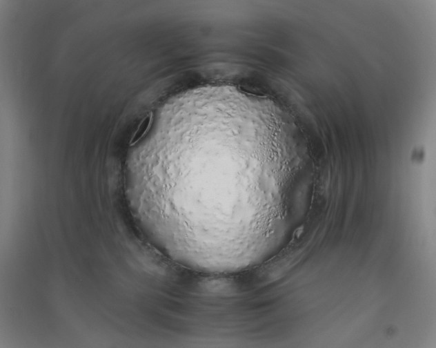 X0000090900283200708201725