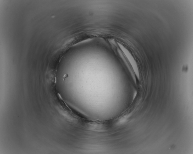 X0000090900284200708201725