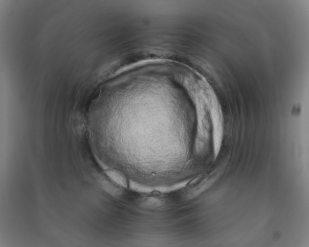 X0000090900285200708201725