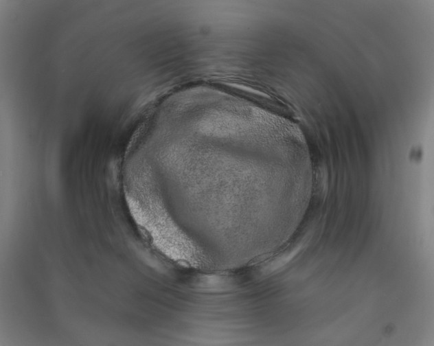 X0000090900286200708201725