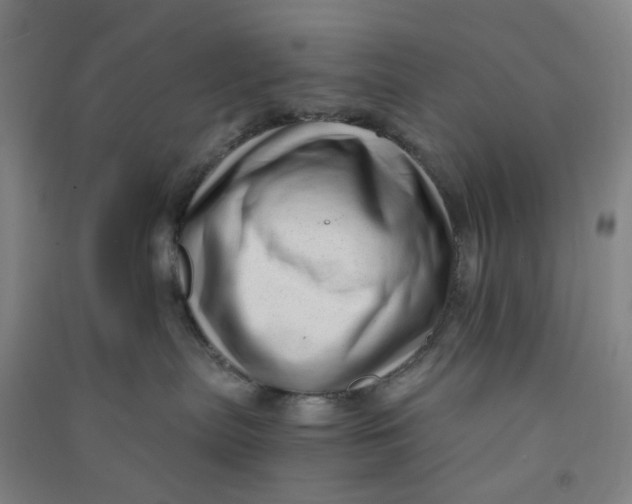 X0000090900287200708201725