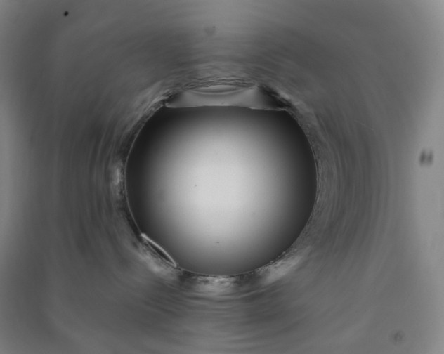 X0000090900288200708201725