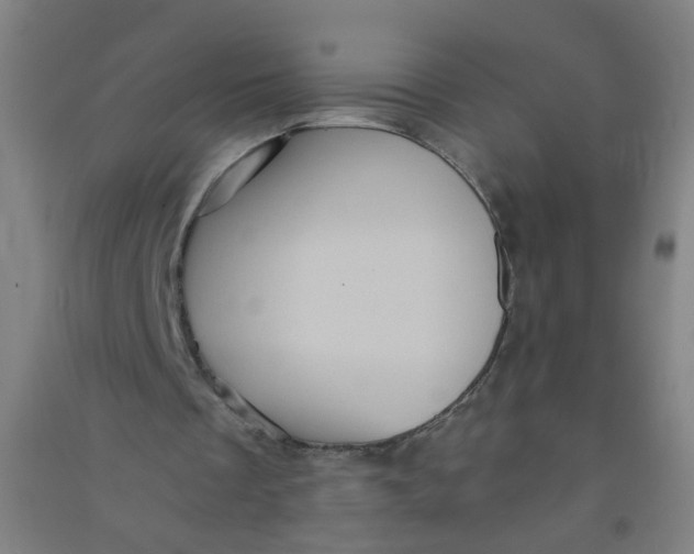 X0000090900289200708201724