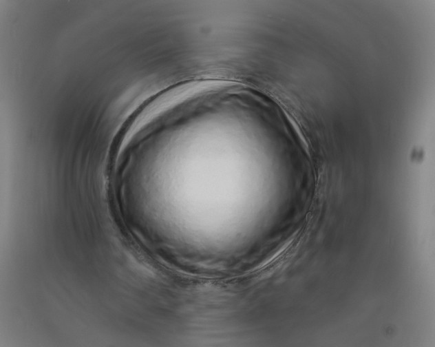 X0000090900290200708201724