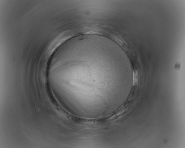 X0000090900291200708201724