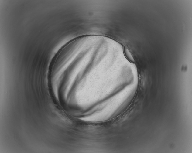 X0000090900292200708201724