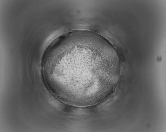 X0000090900293200708201724