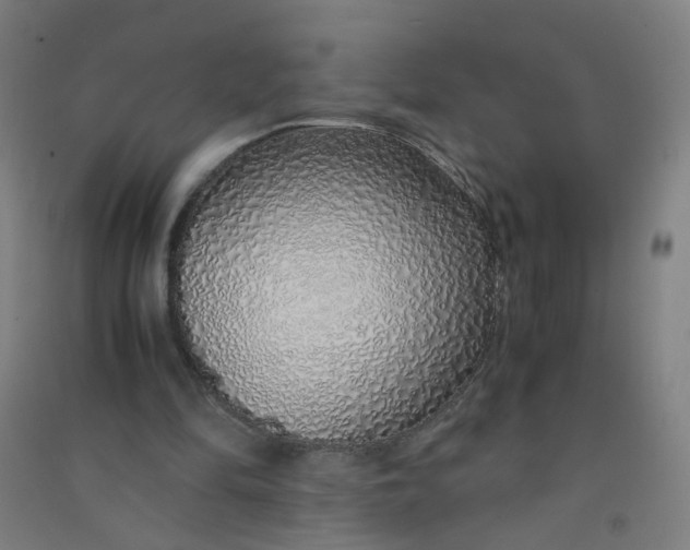 X0000090900294200708201724