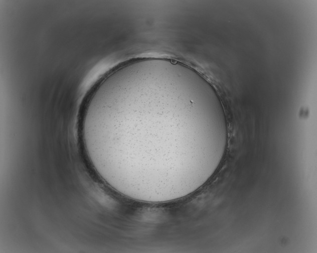 X0000090900296200708201724