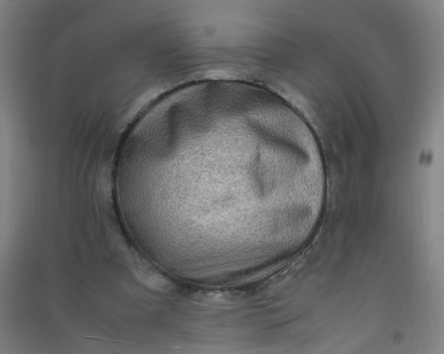 X0000090900297200708201724