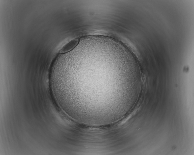 X0000090900298200708201724