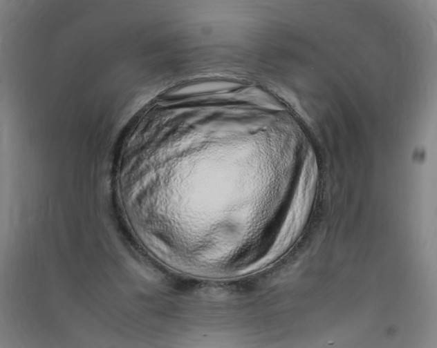 X0000090900299200708201724