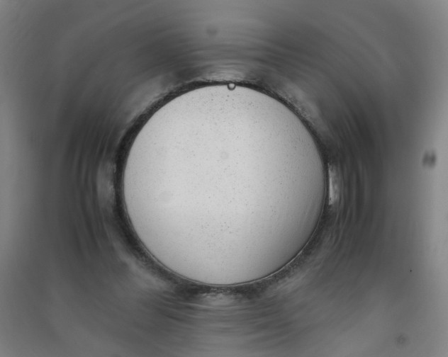 X0000090900300200708201724