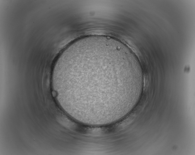 X0000090900301200708201724