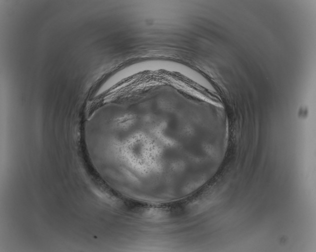 X0000090900303200708201724