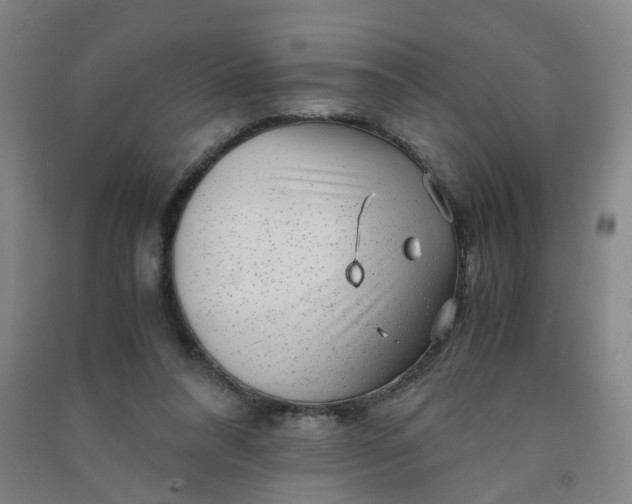 X0000090900304200708201724